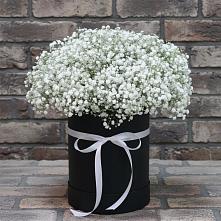 Цветочная композиция из Гипсофила в шляпной коробке #REPLACE_PRED# Саввинской Слободе